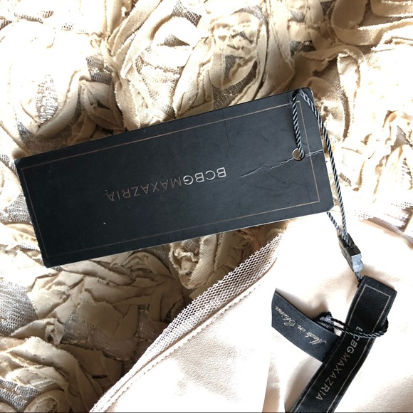 BCBG MAXAZRIA Marissa Champagne Dress - Picture 4 of 5